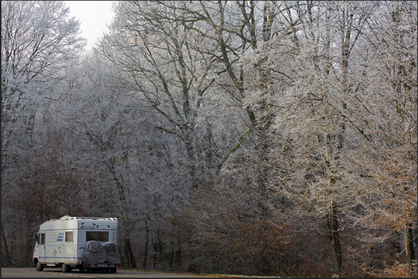 A show, that of the iced forest, that attracts tourists in transit between the hills near Colmar