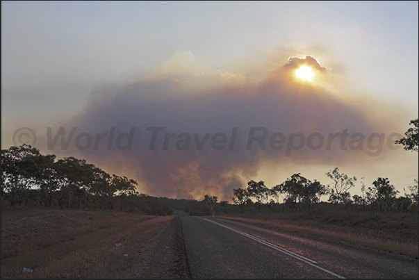 Cox Peninsula, town of Mandorah. Fire in the bush to burn the weeds, waiting the rains that will grow new vegetation