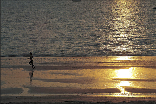 Darwin. Running on the beach in Fanni Bay