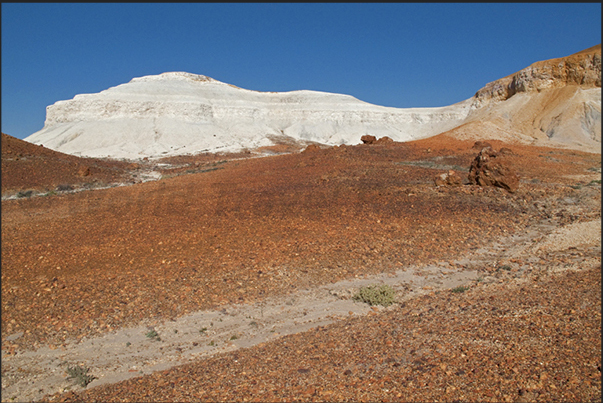 Orange, red, yellow and white and the blue of the sky, are the colors of Painted Desert