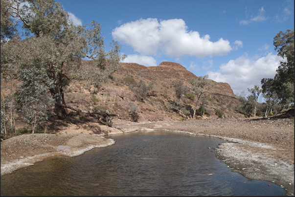 Water puddles and small rivers, through the canyons of the Flinders Rangers