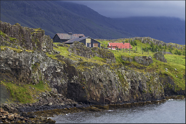Isolated houses on the cliffs of Berufjordur Gulf