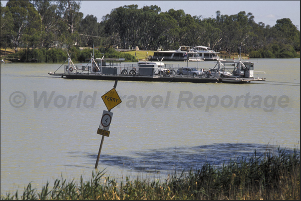 There are many ferries that across the Murray River