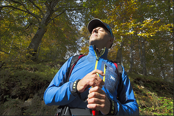 The guide invites you to stop and remain silent under the autumn sun to listen the sounds of the forest