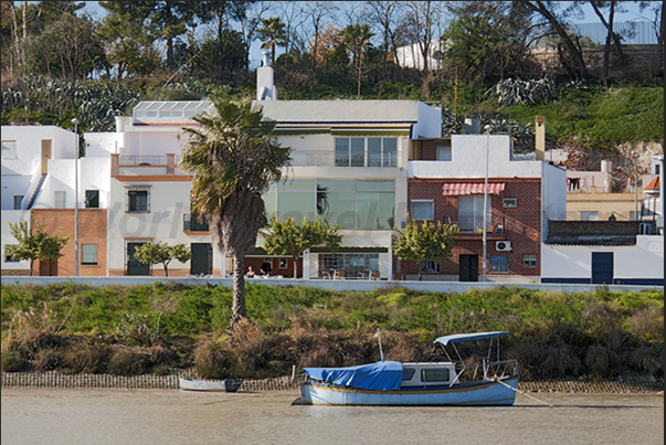 Sailing along the River Guadalquivir in front of the town of Coria del Rio Sailing along the River Guadalquivir in front of the town of Coria del Rio