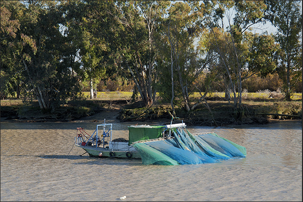 Guadalquivir River. Boats with nets for eel fishing near the town of Trebujena