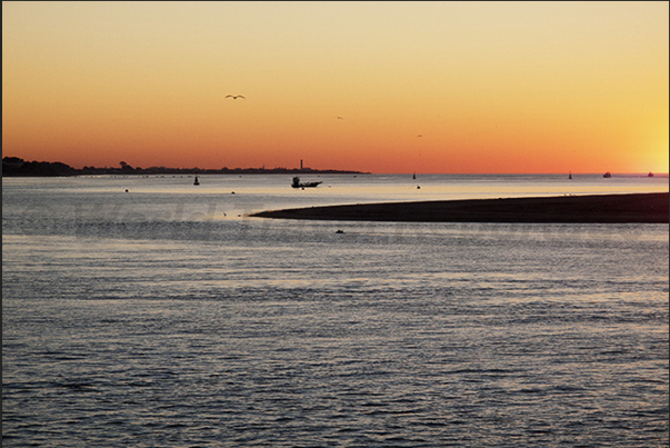 Guadalquivir River. Estuary