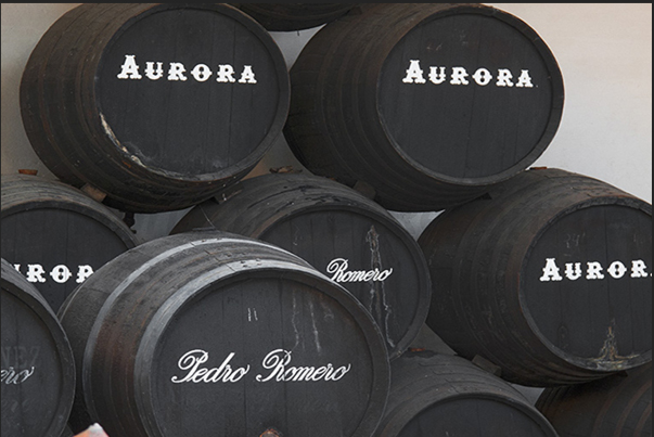 Cadiz. Wine barrels of Bodegas Tio Pepe winery Cadiz. Wine barrels of Bodegas Tio Pepe winery