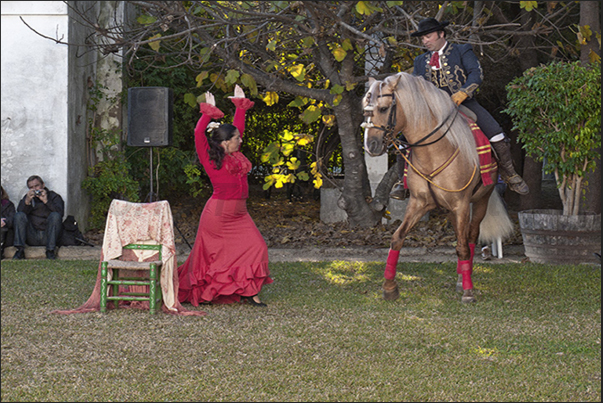 Jerez town. Tango and Manzanilla, dance and wine typical of the place Jerez town. Tango and Manzanilla, dance and wine typical of the place