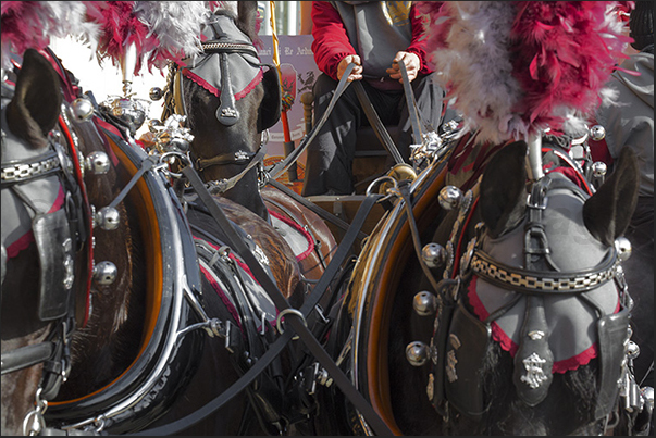 Here come the battle chariots pulled by two or four horses