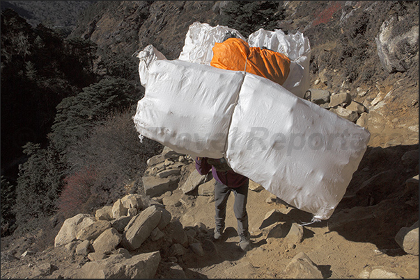 Only Sherpa porters can carry loads impossible