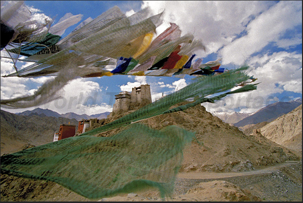 Town of Leh. Prayer flags in the wind Town of Leh. Prayer flags in the wind