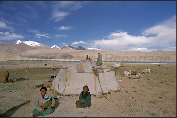 Nomad tent along the road that leads to the city of Leh Nomad tent along the road that leads to the city of Leh