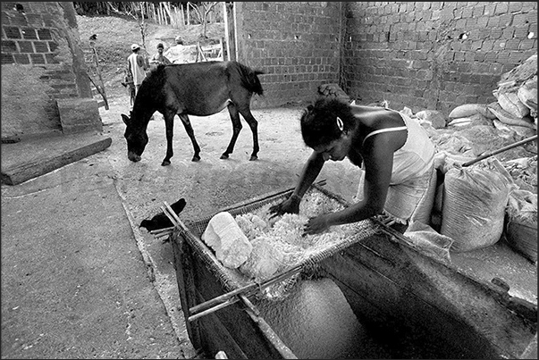 A woman grinds the cassava, a tuber used to produce a flour food