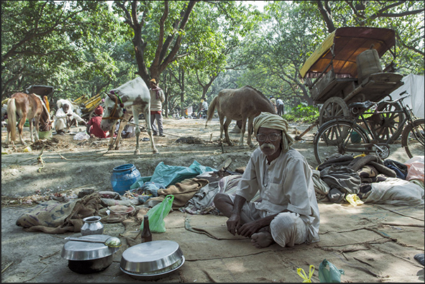 The Sonepur market